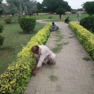 Maintenance work at Community Park by CBM