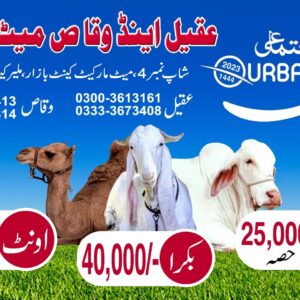 Qurbani 2023 by Aqeel & Waqas Meat Company