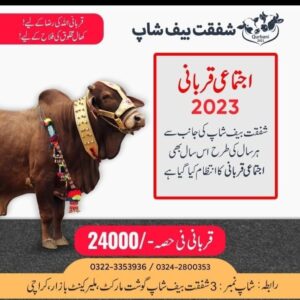 Qurbani 2023 by Shafqat Beef Shop