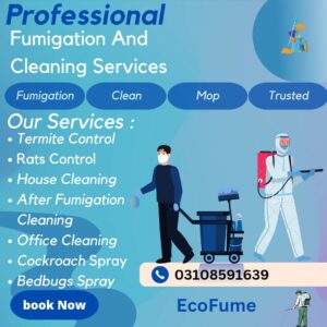 EcoFume – Your Solution for Professional Fumigation & Cleaning Services